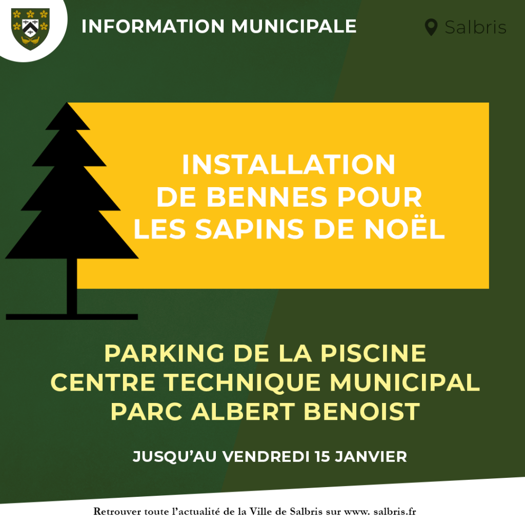 Installation-des-bennes-sapin-noel