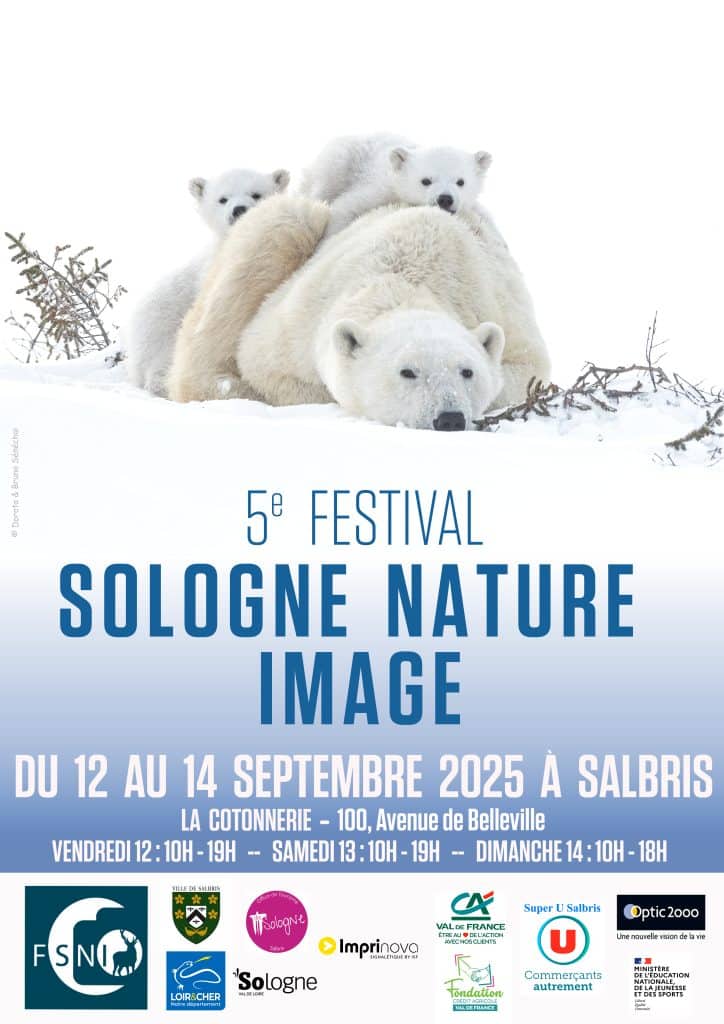 Affiche festival Salbris 2025 version 2