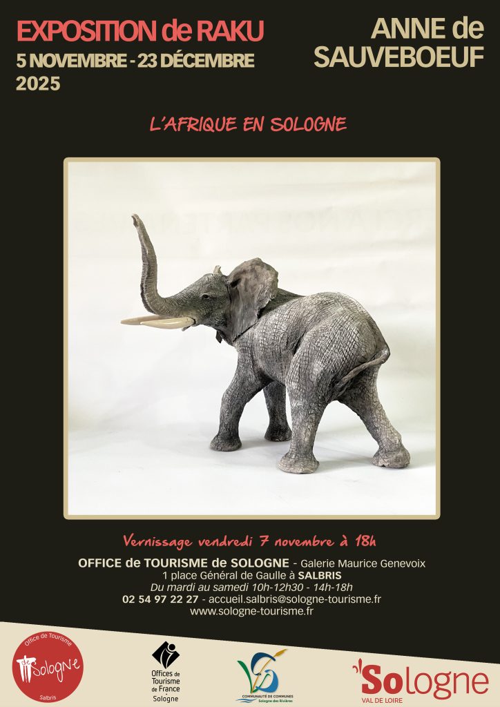 Affiche exposition Anne de Sauveboeuf - Galerie Maurice Genevoix Salbris - 2025