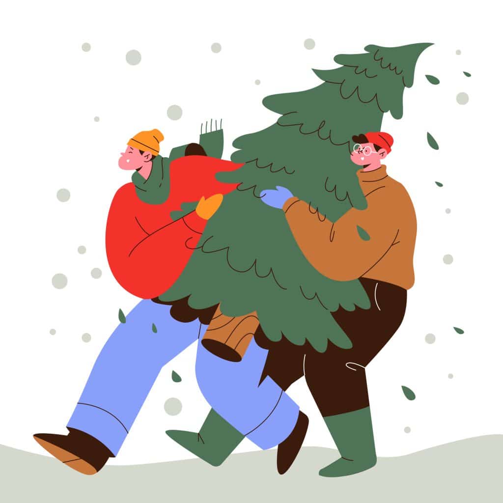 collecte des sapins de noël à Salbris