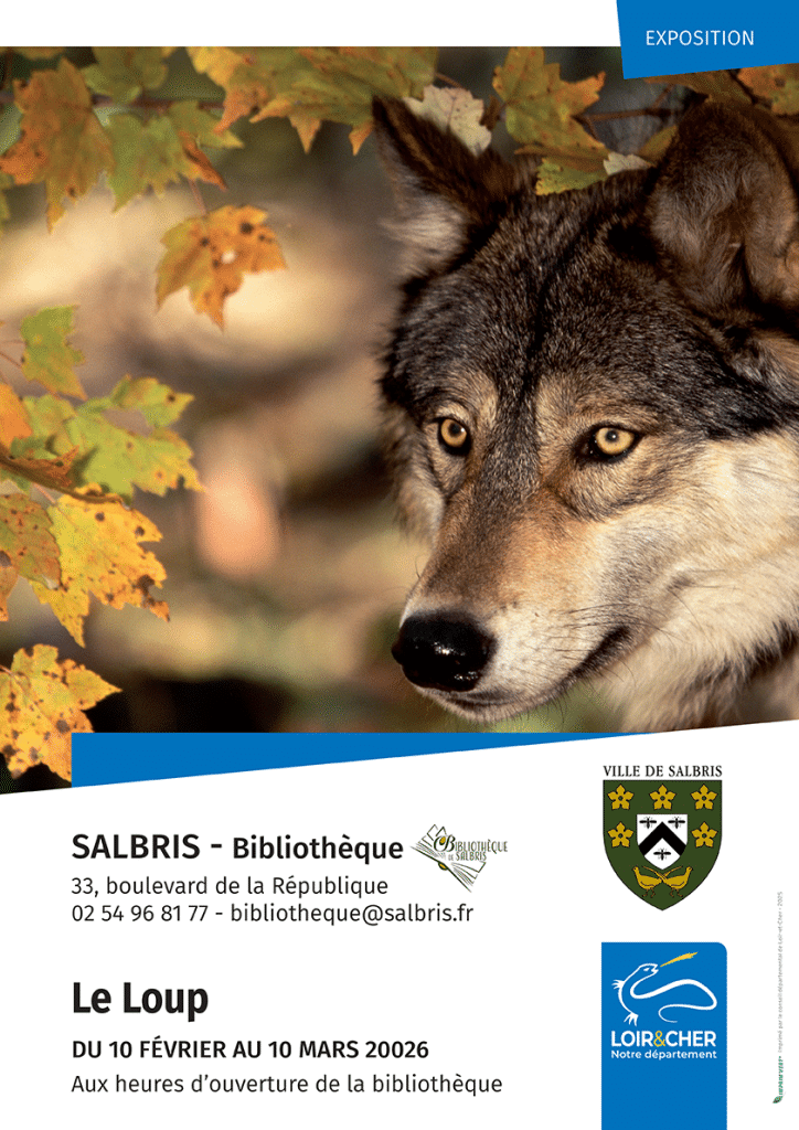 affiche le_loup_salbris expo bibilothèque