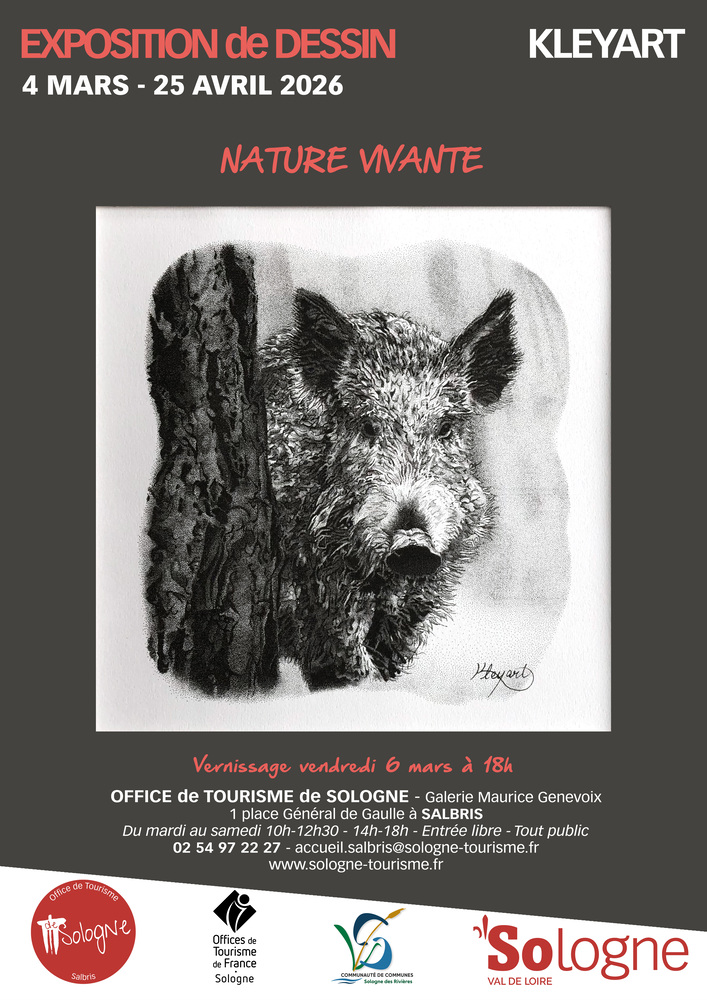 Invitation vernissage exposition Kleyart vendrredi 6 mars 2026 Galerie Maurice Genevoix Salbris