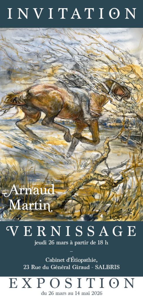 invitation expo arnaud martin salbris