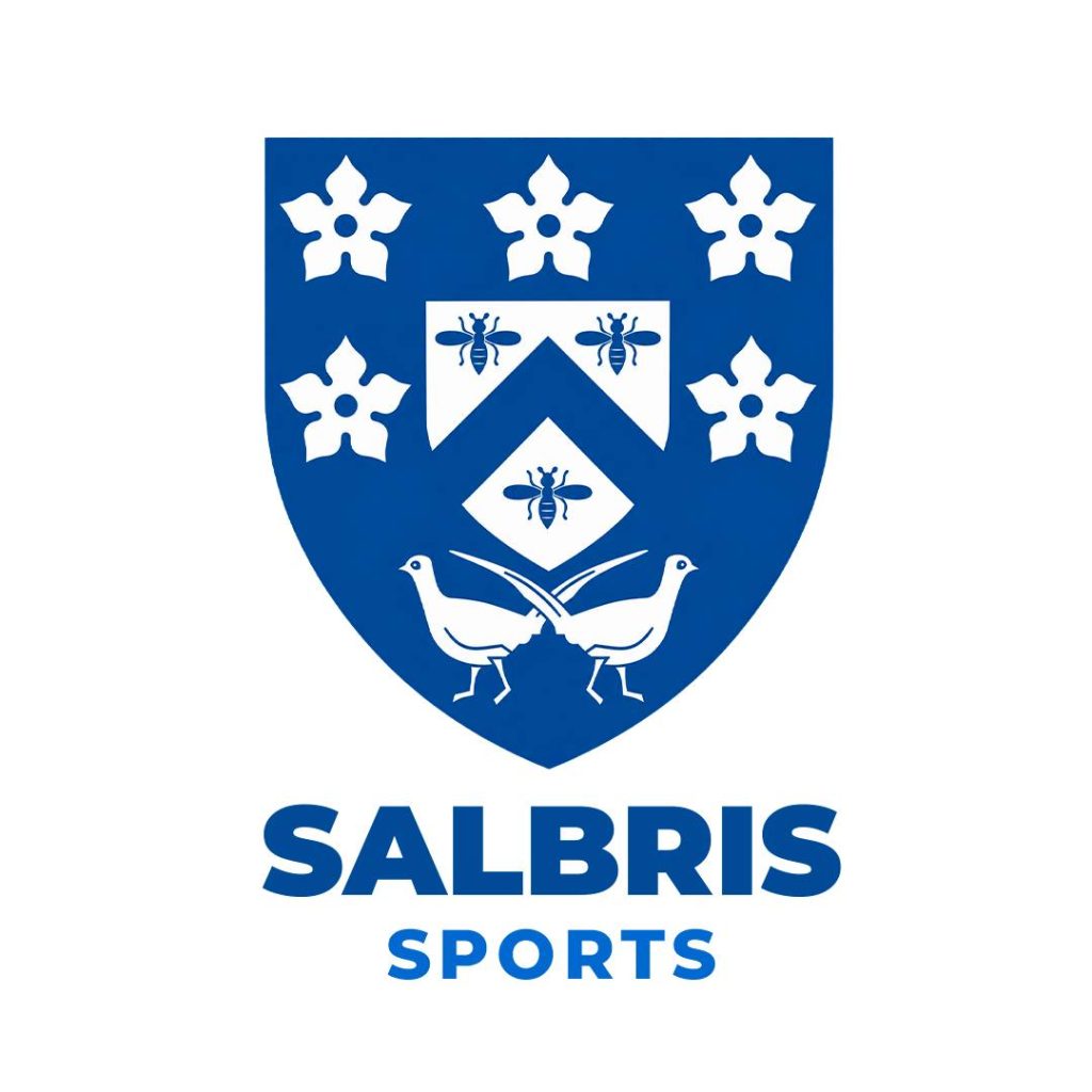 logo salbris sport