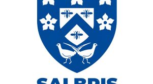 logo salbris sport